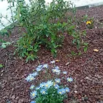 Feriehus 3 Etoiles Jardin Clos Parking Proche Emilion Saint-Ciers-d'Abzac