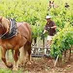 3 Etoiles Avec Jardin Et Parking Proche Libourne Emilion Et Bordeaux Le Ptit Coin De Soleil 1 A 6 Personnes * Saint-Ciers-d'Abzac