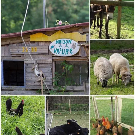Semesterbostad 3 Etoiles Avec Jardin Et Parking Proche Libourne Emilion Et Bordeaux Le Ptit Coin De Soleil 1 A 6 Personnes