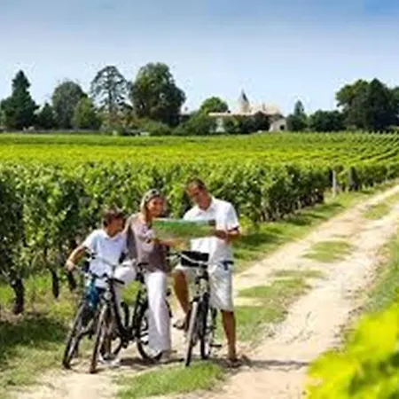 Holiday home Meuble De Tourisme Classe 3 Etoiles Le Ptit Coin De Soleil - Ciers D'abzac *
