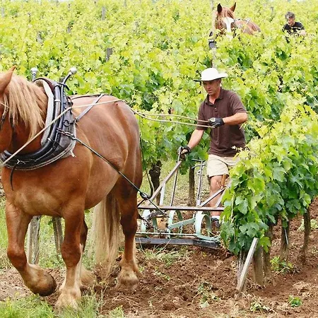 3 Etoiles Jardin Clos Parking Proche Emilion * Saint-Ciers-d'Abzac